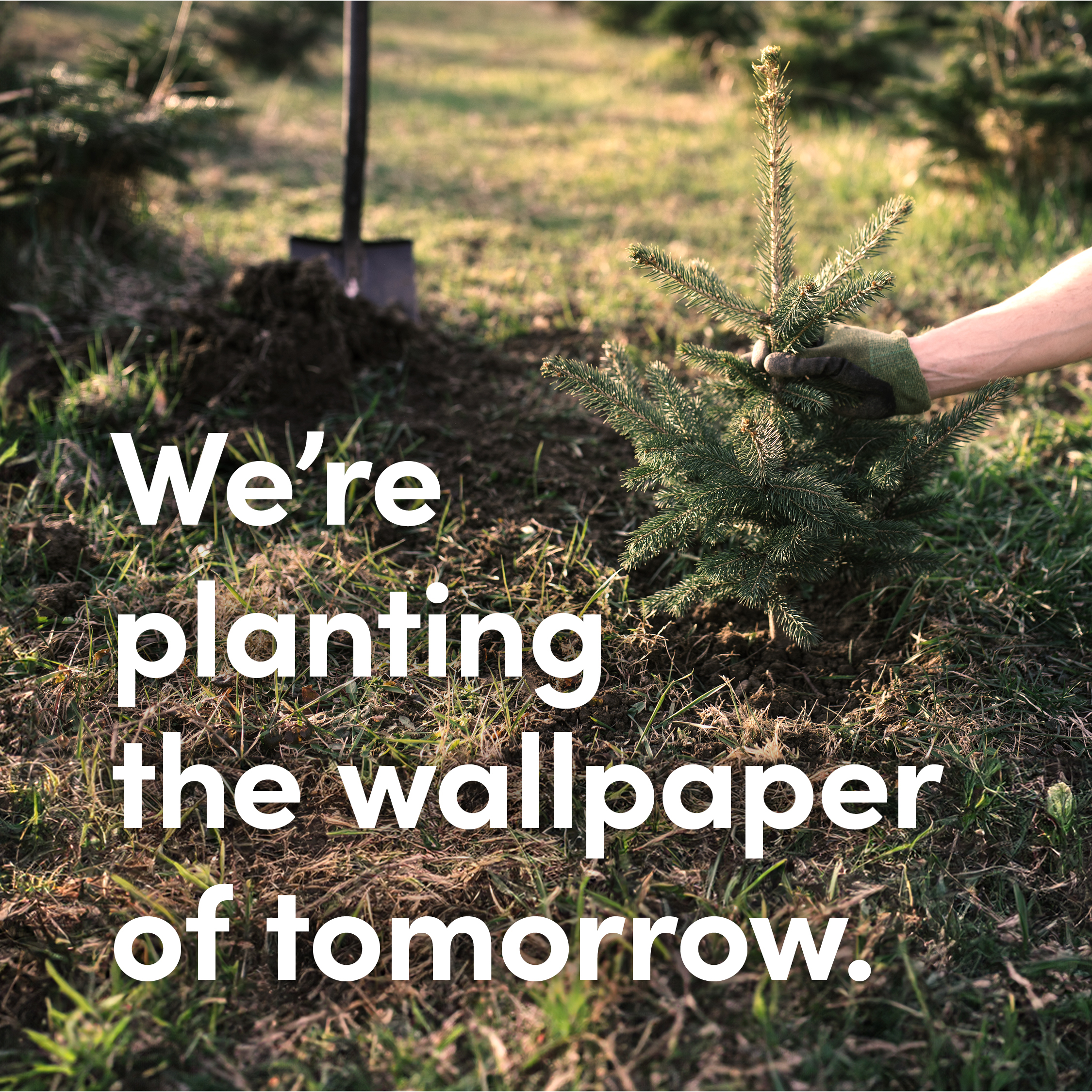 Fabric Forest SoMe Post 2