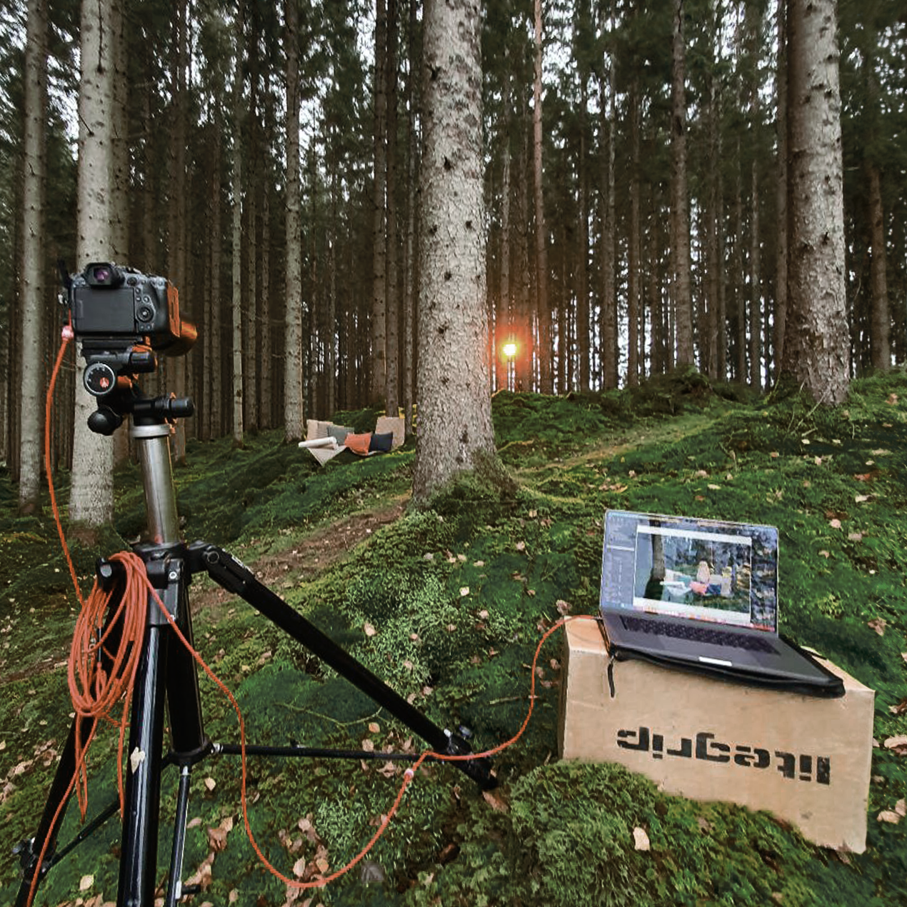 Photoshoot with camera in the forest