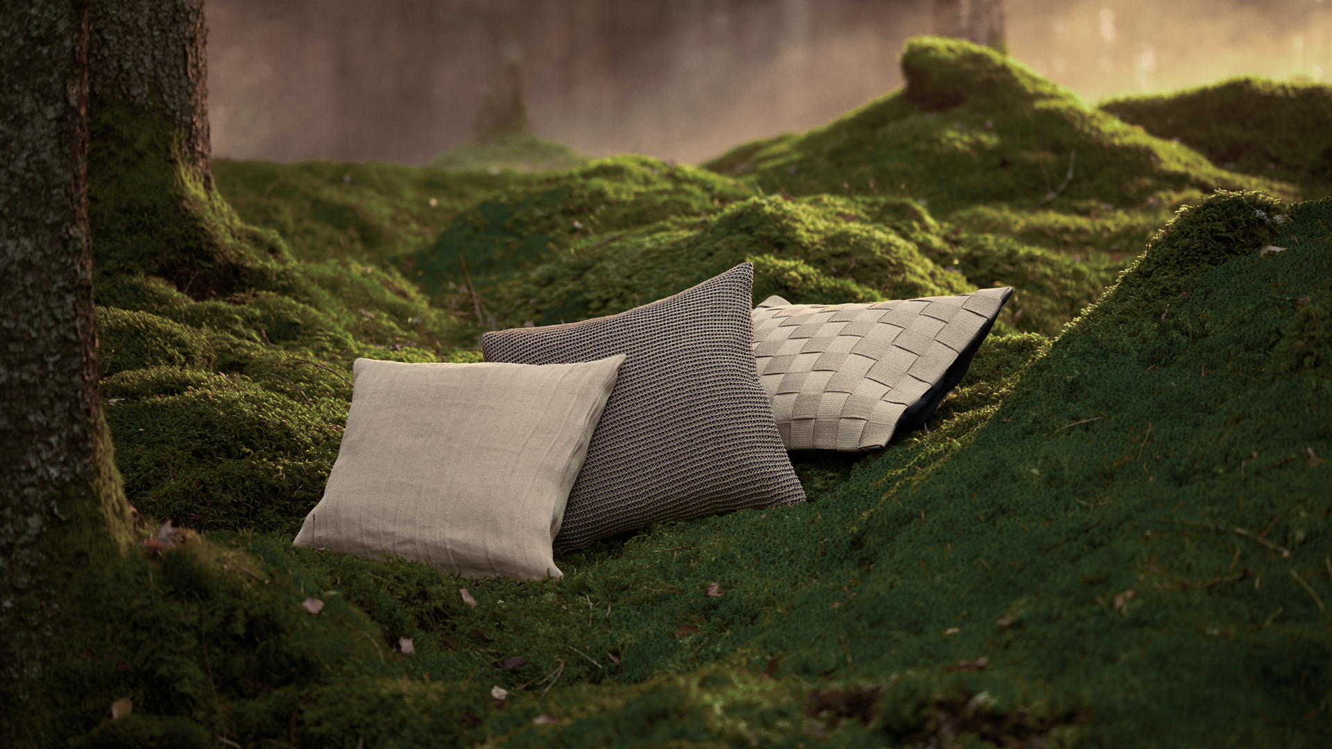 Photo of Fabric Forest pillows, in a forest