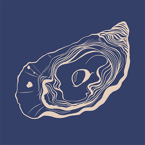 illustration of an oyster