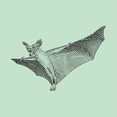 nunchi bat