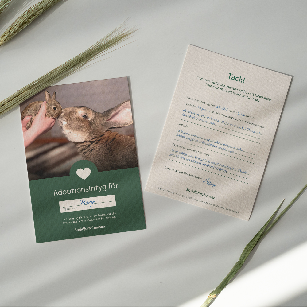 Mockup of adoption certificate