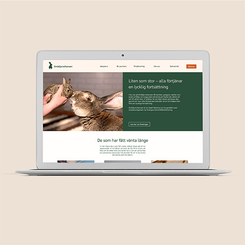 mockup of three laptop screens