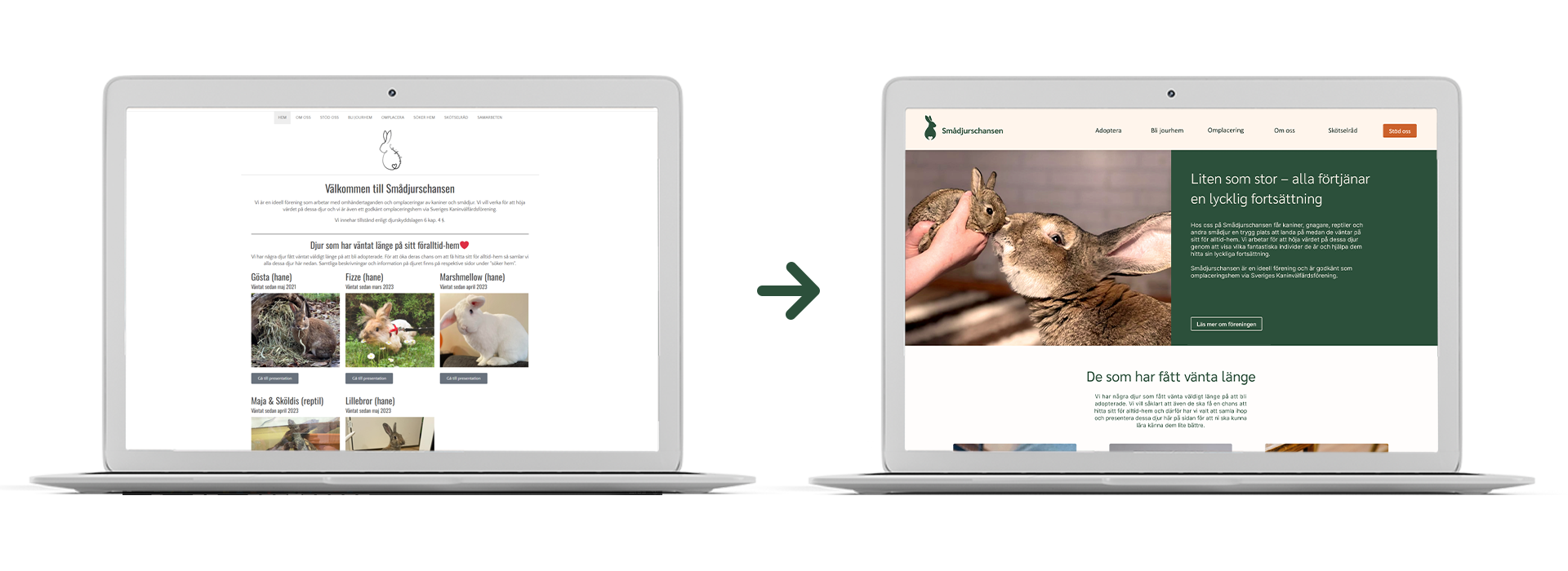 Web design proposal for Smådjurschansen