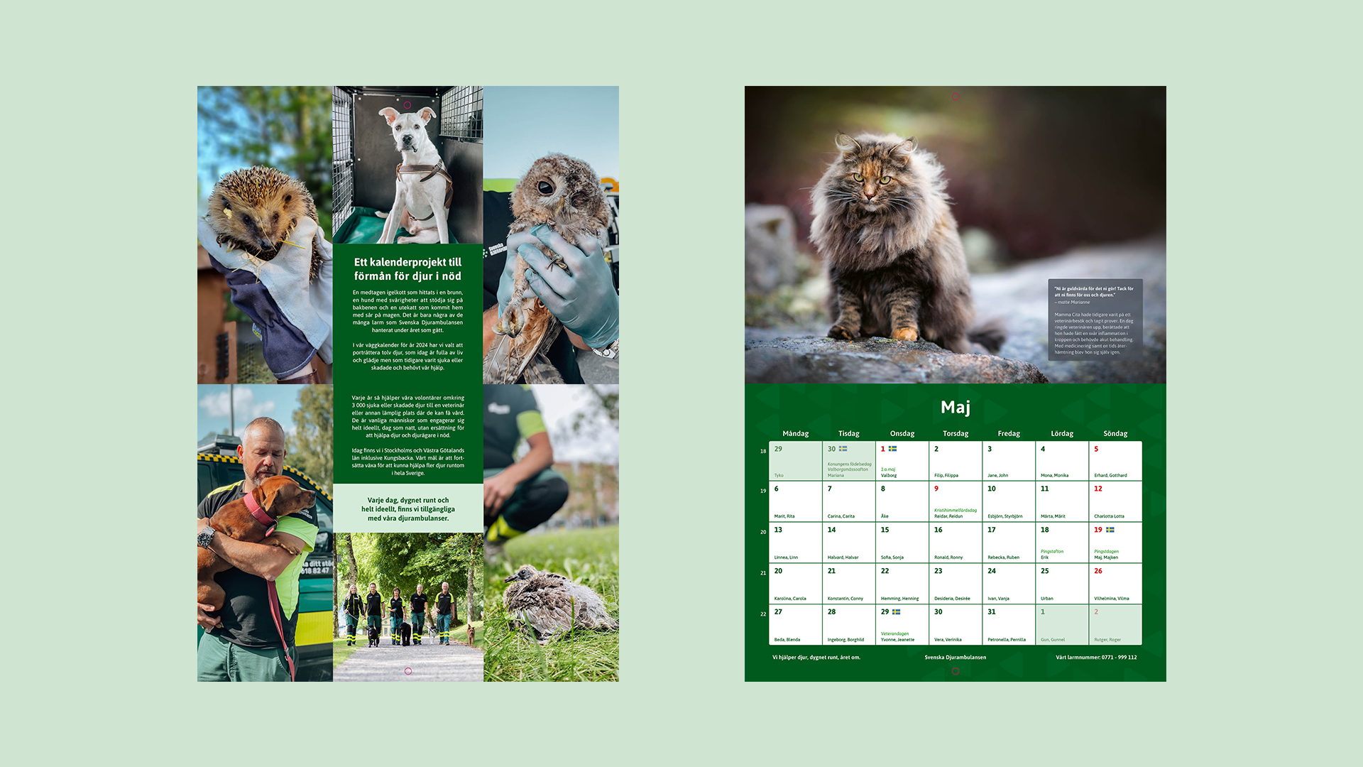 Wall Calendar Spread